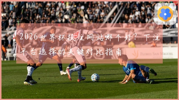 2026世界杯投注网站哪个好？下注平台选择的关键对比指南