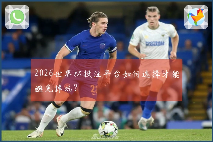 2026世界杯投注平台如何选择才能避免掉坑？