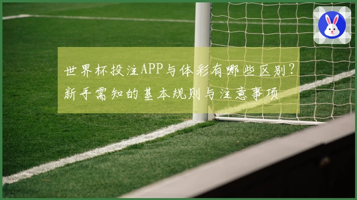 世界杯投注APP与体彩有哪些区别?新手需知的基本规则与注意事项